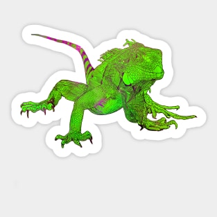 Color drawing of iguana Sticker